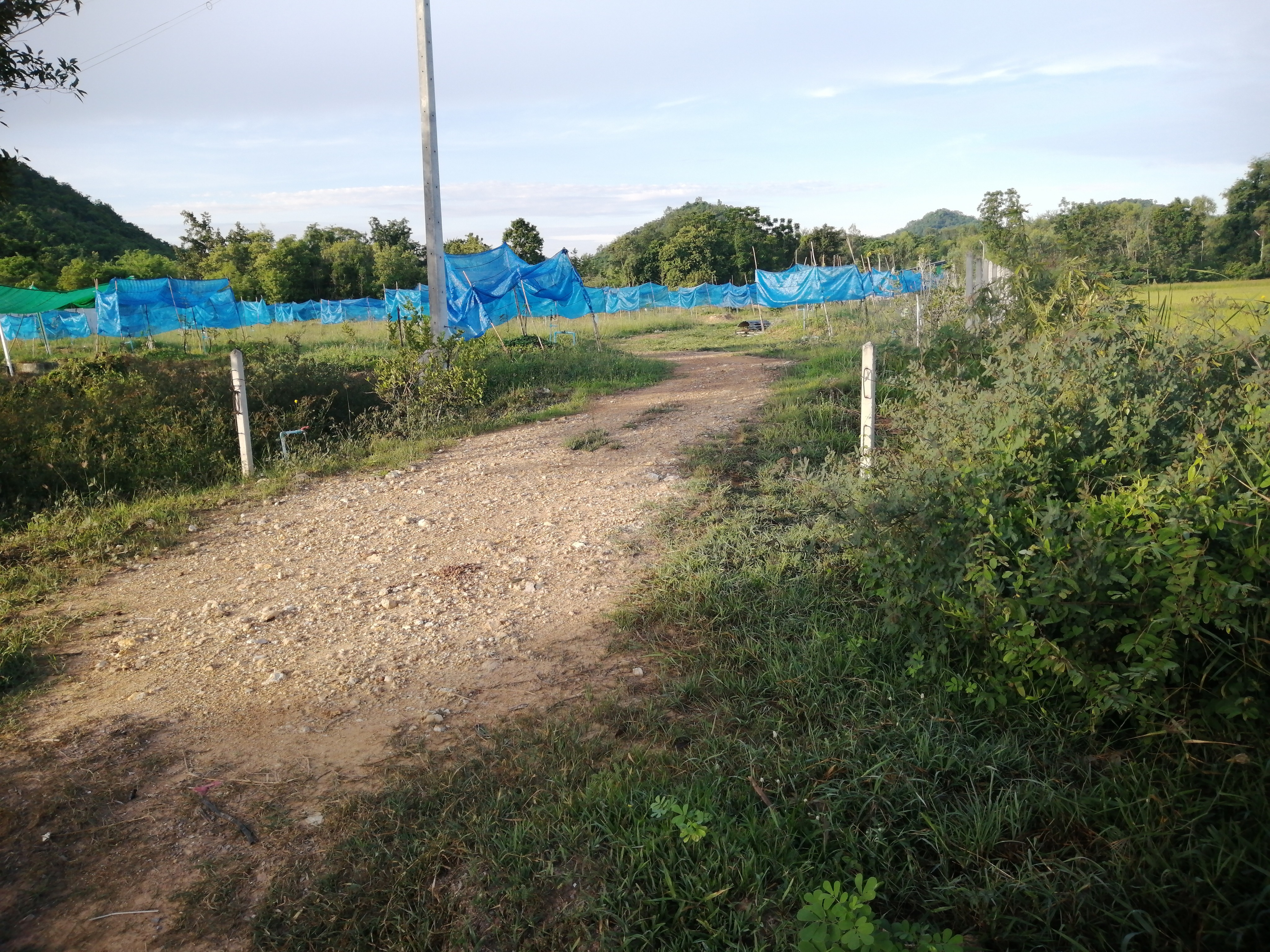 ขายที่ดิน อ.เมือง จ.ราชบุรี 4-3-9
