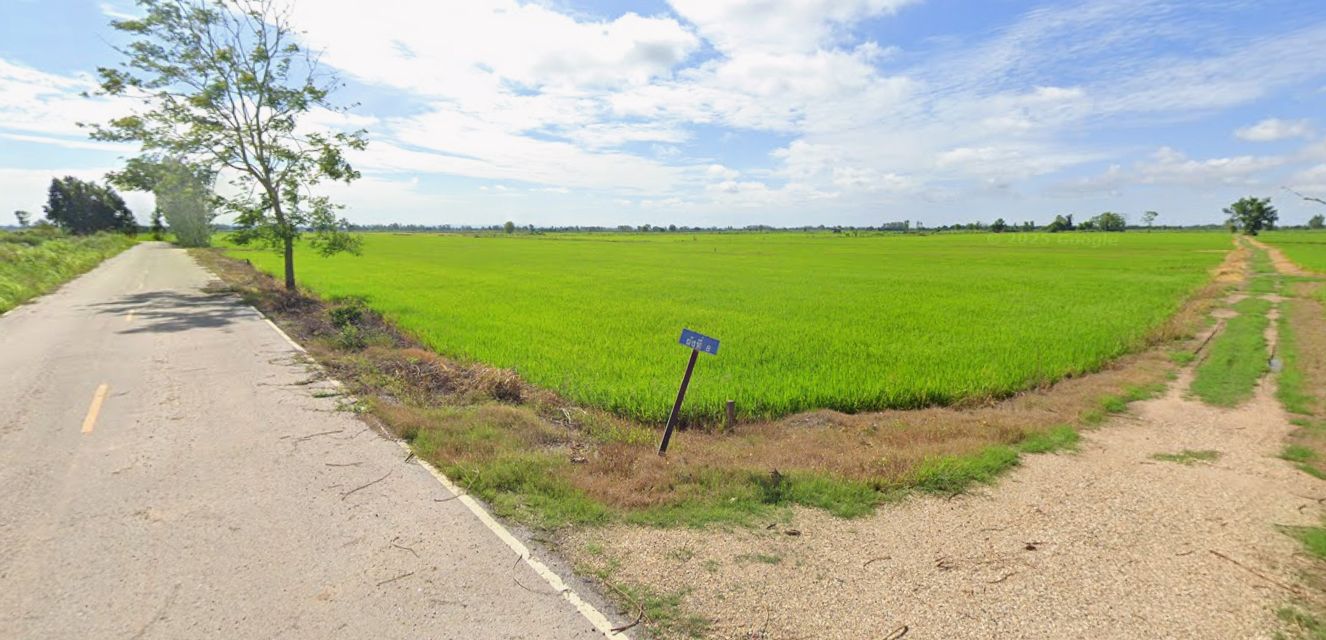 ขายที่นา 2 ไร่ ราคาถูก ต.ท่านางงาม อ.บางระกํา จ.พิษณุโลก (โฉนด ครุตแดง)