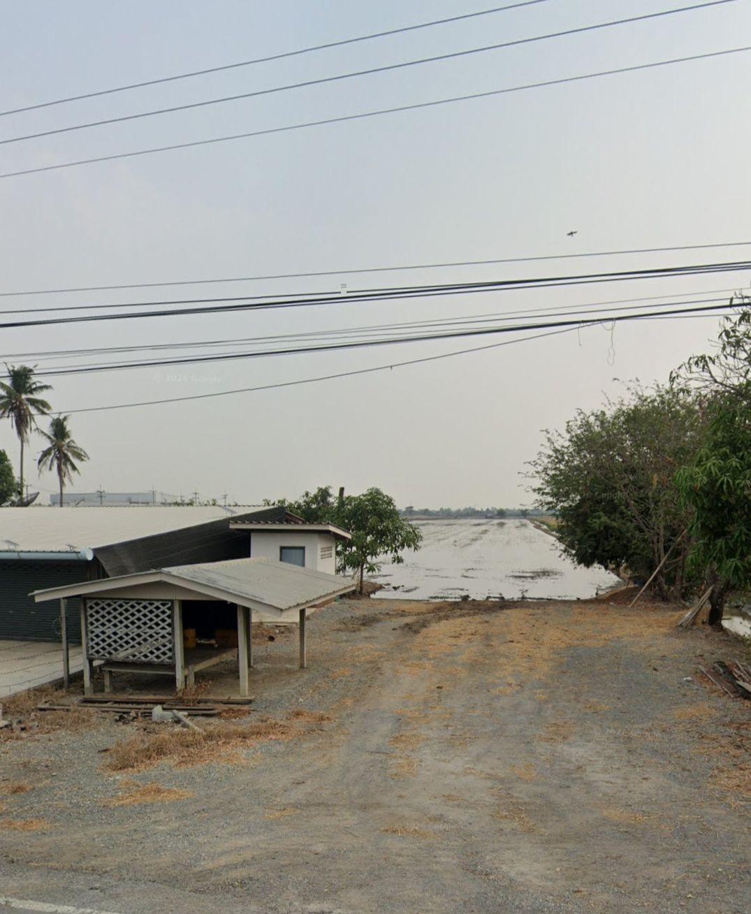ขายที่ดิน  