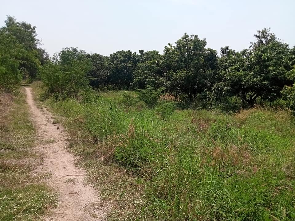 ที่ดินบ้านน้ำโจน 3-0-90 อ.เมืองตาก