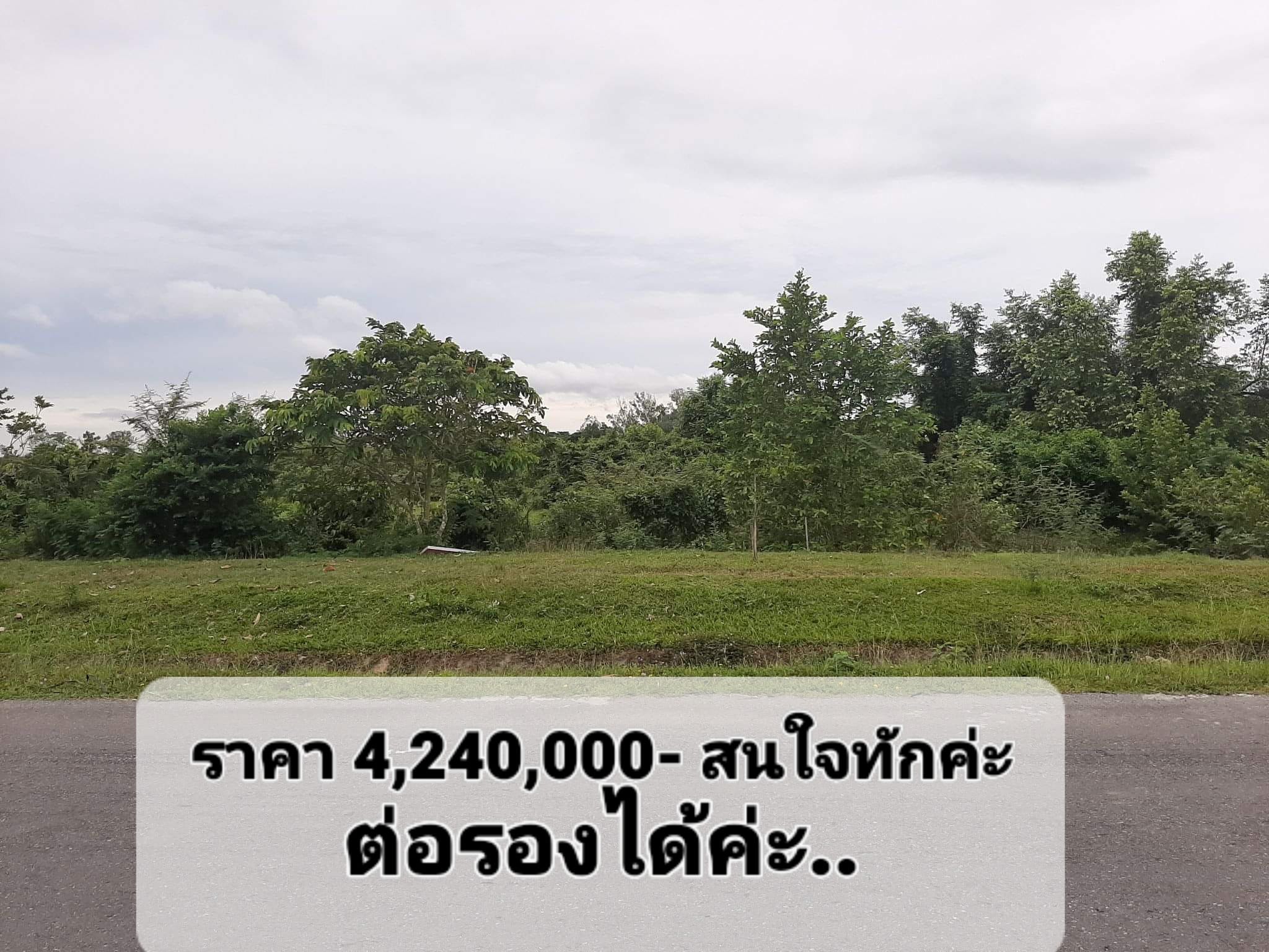ขายที่ดินต.นาเคียน อ.เมือง จ.นครศรีธรรมราช 0-3-39.9 ไร่