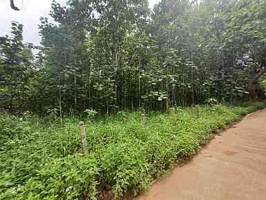 ขายที่ดิน สะเมิง เชียงใหม่ 11-2-62 ไร่