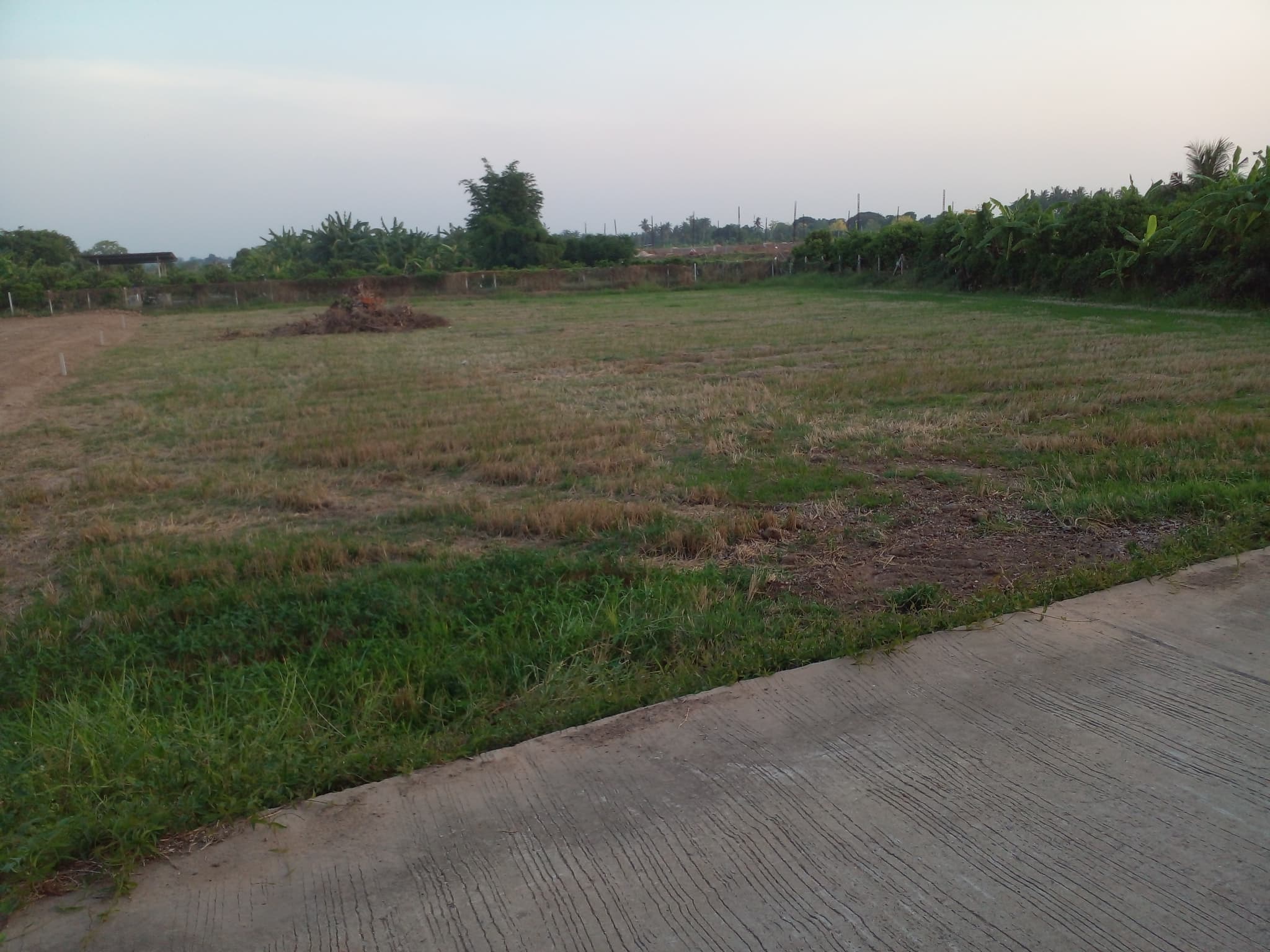 ที่ดินเปล่าแบ่งขาย เมืองสิงห์บุรี 1-0-0