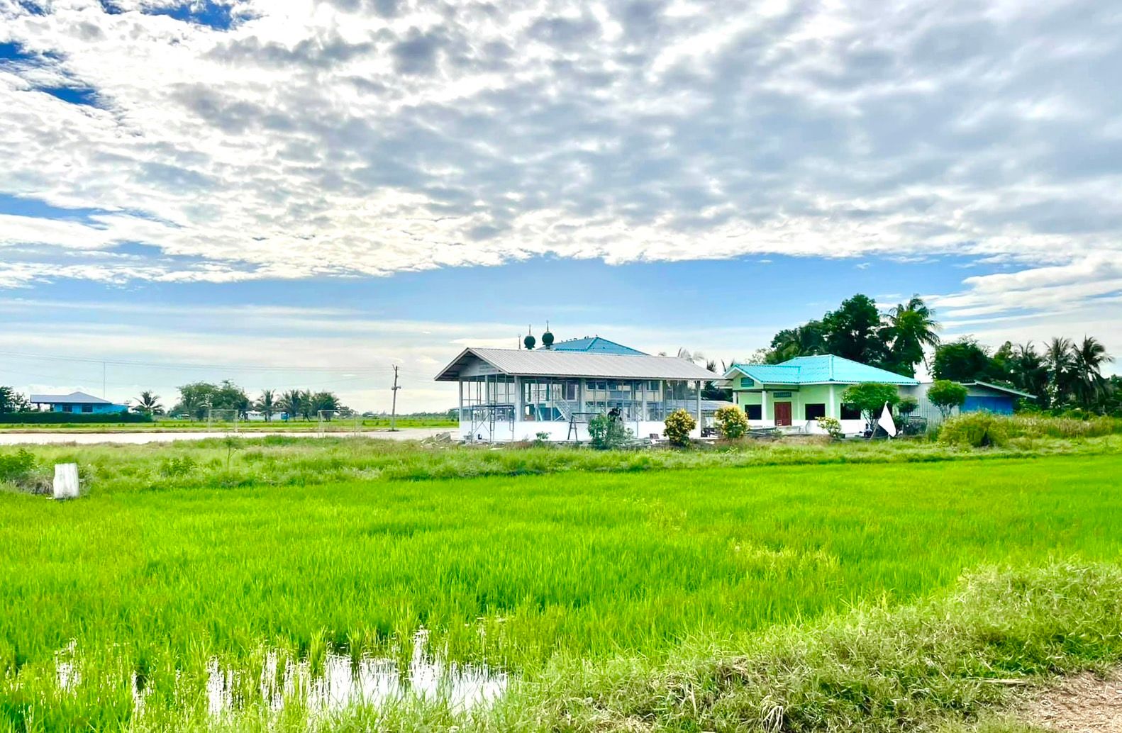 ขายที่ดินใกล้มัสยิดญานี คลอง 22 อ.องครักษ์ จ.นครนายก พื้นที่ 1 งาน 1 ตารางวา  (ราคาถูก ต่ำกว่าราคาตลาด)