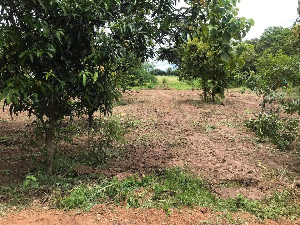 บ้านพร้ออมที่ดิน 3 ไร่เศษ ลำปาง