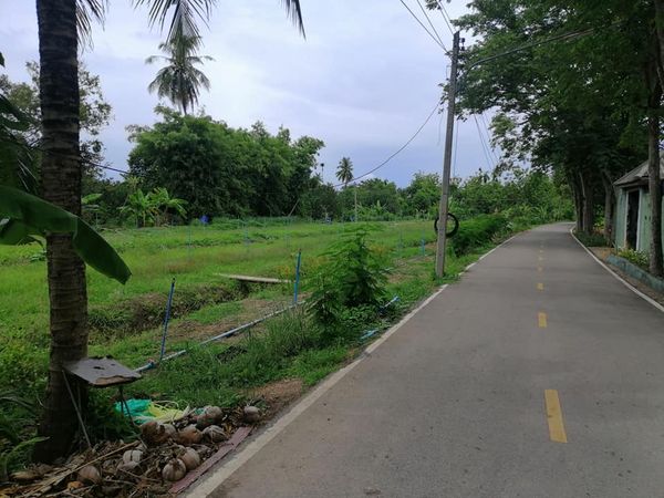 ที่ดิน แบ่งขาย 1-2 ไร่ สมุทรสงคราม