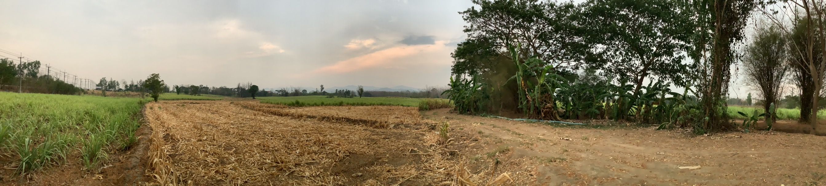 ขายที่ดิน ผืนใหญ่