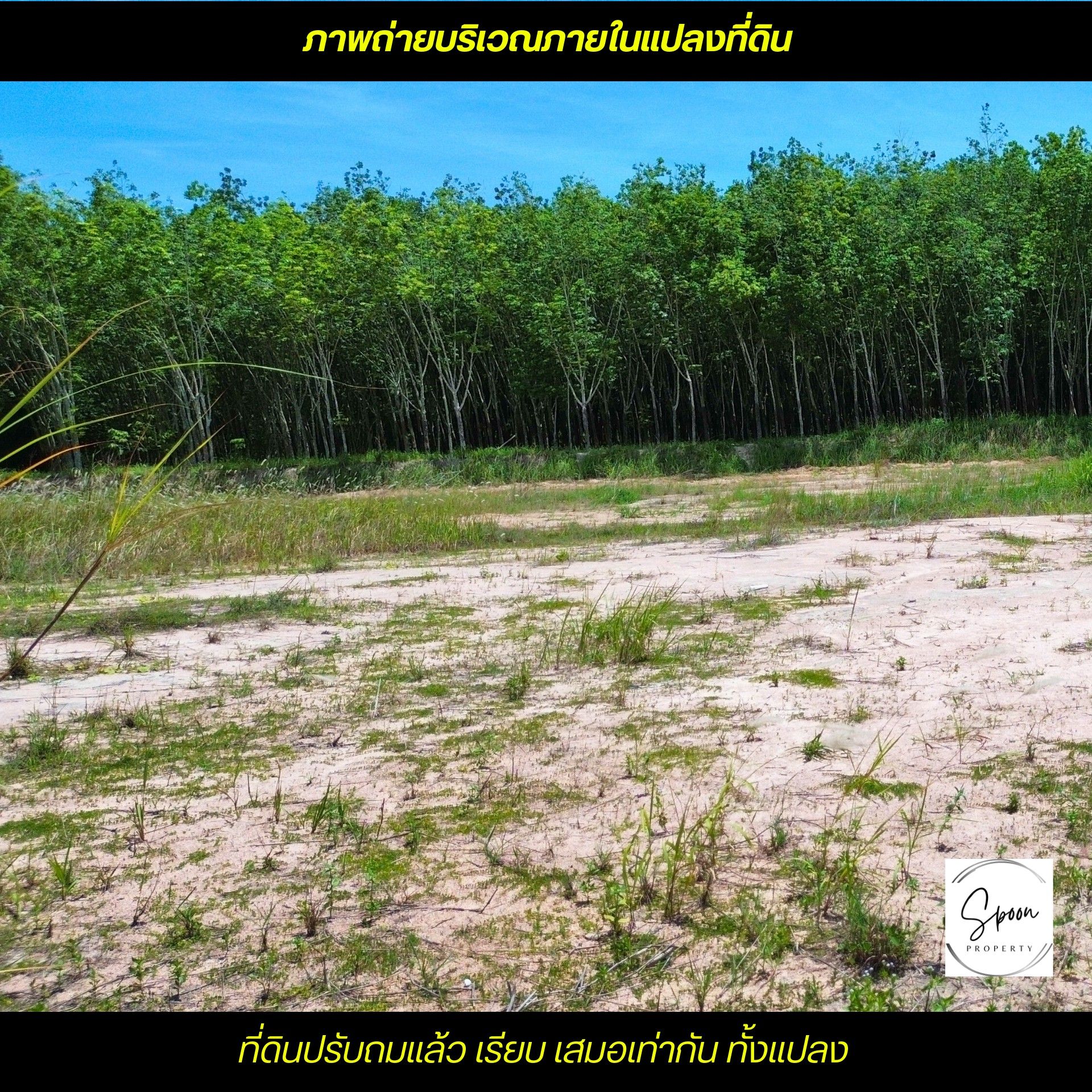 ขายที่ดินระยอง นิคมพัฒนา ใกล้นิคม WHA36 ถูกที่สุดในย่านนี้