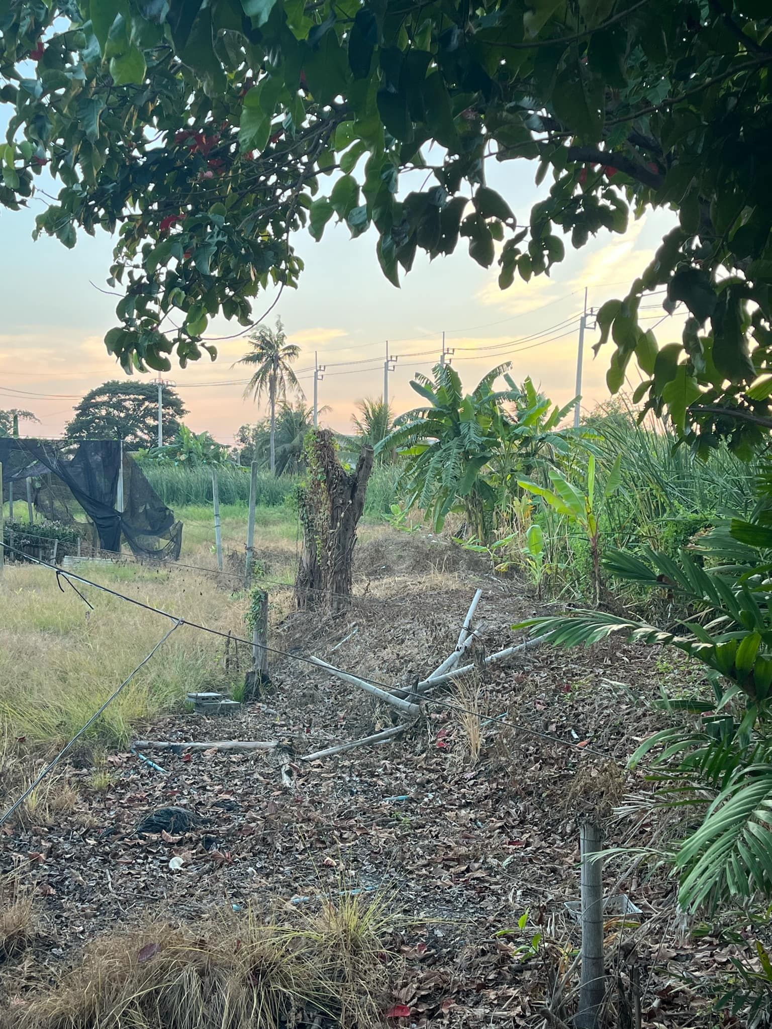 ขายที่ดินกรุงเทพฯ เขตหนองแขม กทม. เจ้าของขายเอง