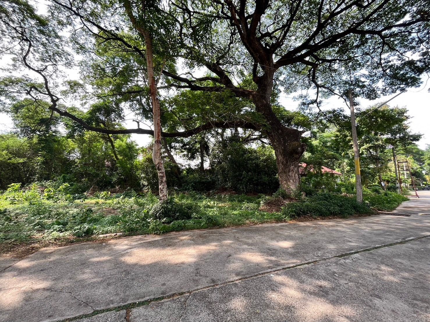 DD-0239 ขายที่ดิน 142.1 ตร.วา หลังบ้านติดลำเหมือง ในหมู่บ้านริมน้ำ ใกล้กาดรวมโชค ต.สันผีเสื้อ อ.เมือง เชียงใหม่