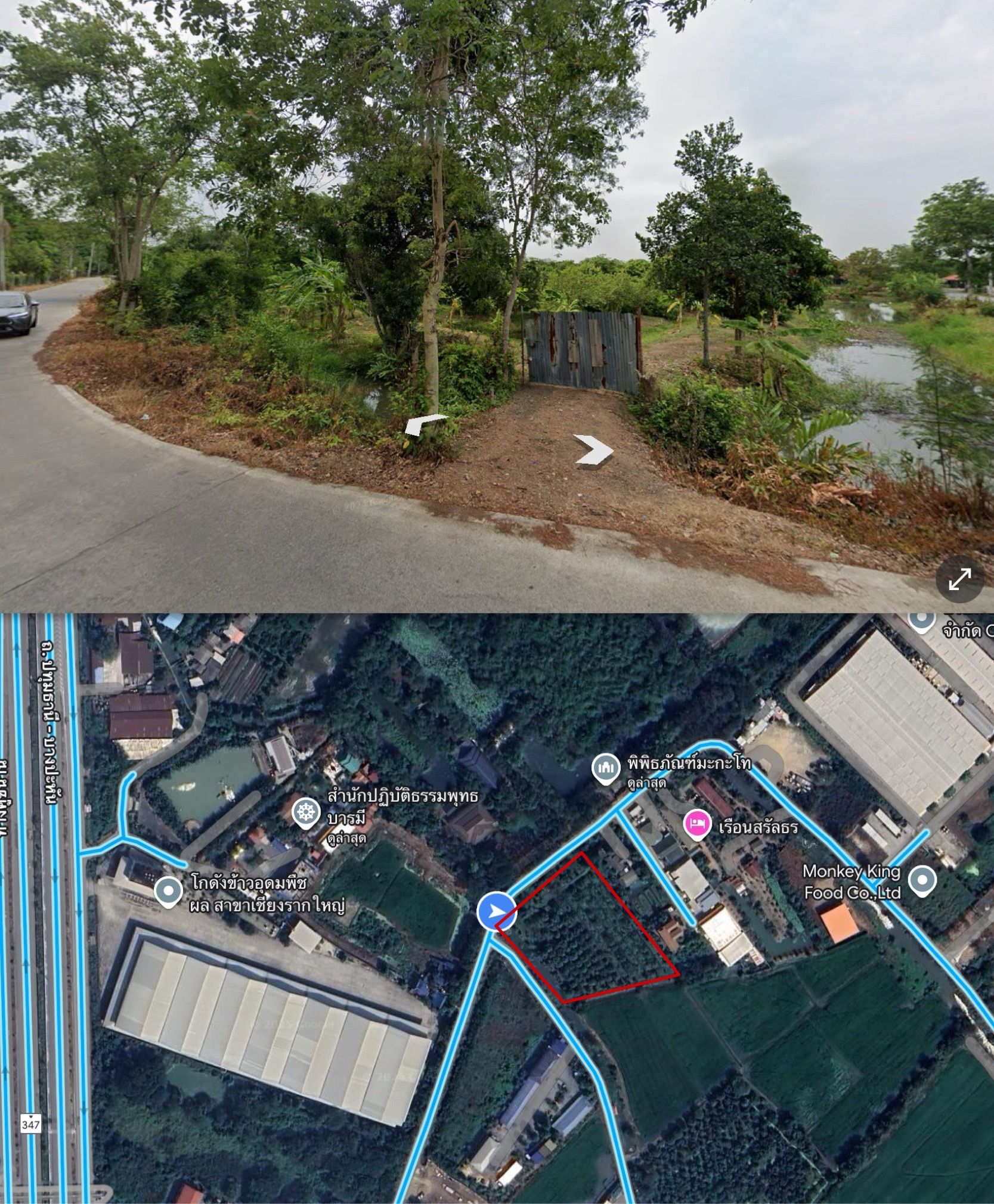 ขายที่ดินปทุมธานี อำเภอสามโคก ทำเลดีใกล้ ทางด่วนพิเศษอุดรรัถยา ม.ธรรมศาสตร์ รังสิต
