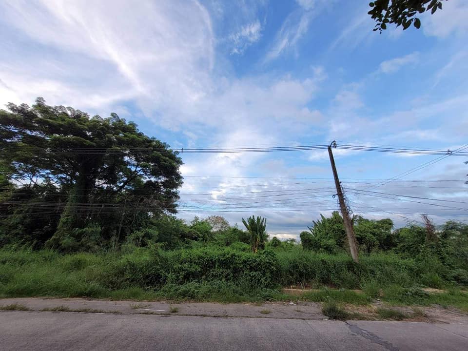 ที่ดินตรงข้าม​ มข.​ ขอนแก่น 65.4 ตรว.