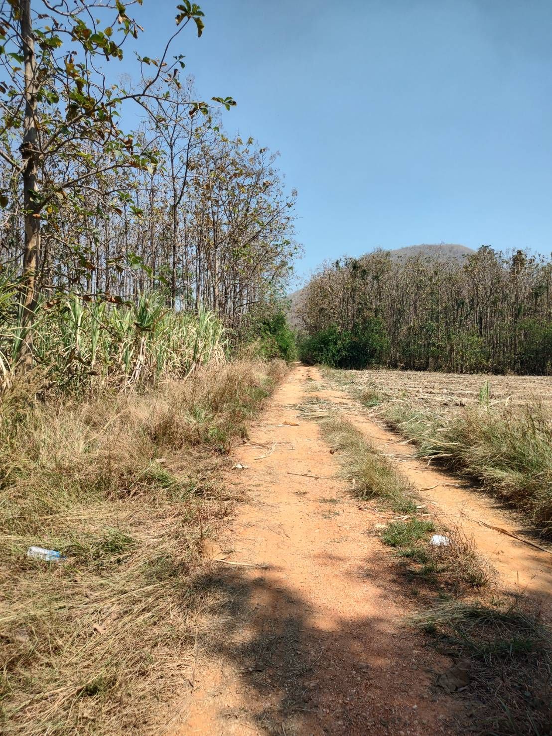 ขายที่ดินอุทัยธานี แปลงสวย เหมาะปลูกบ้าน บ้านไร่ อุทัยธานี