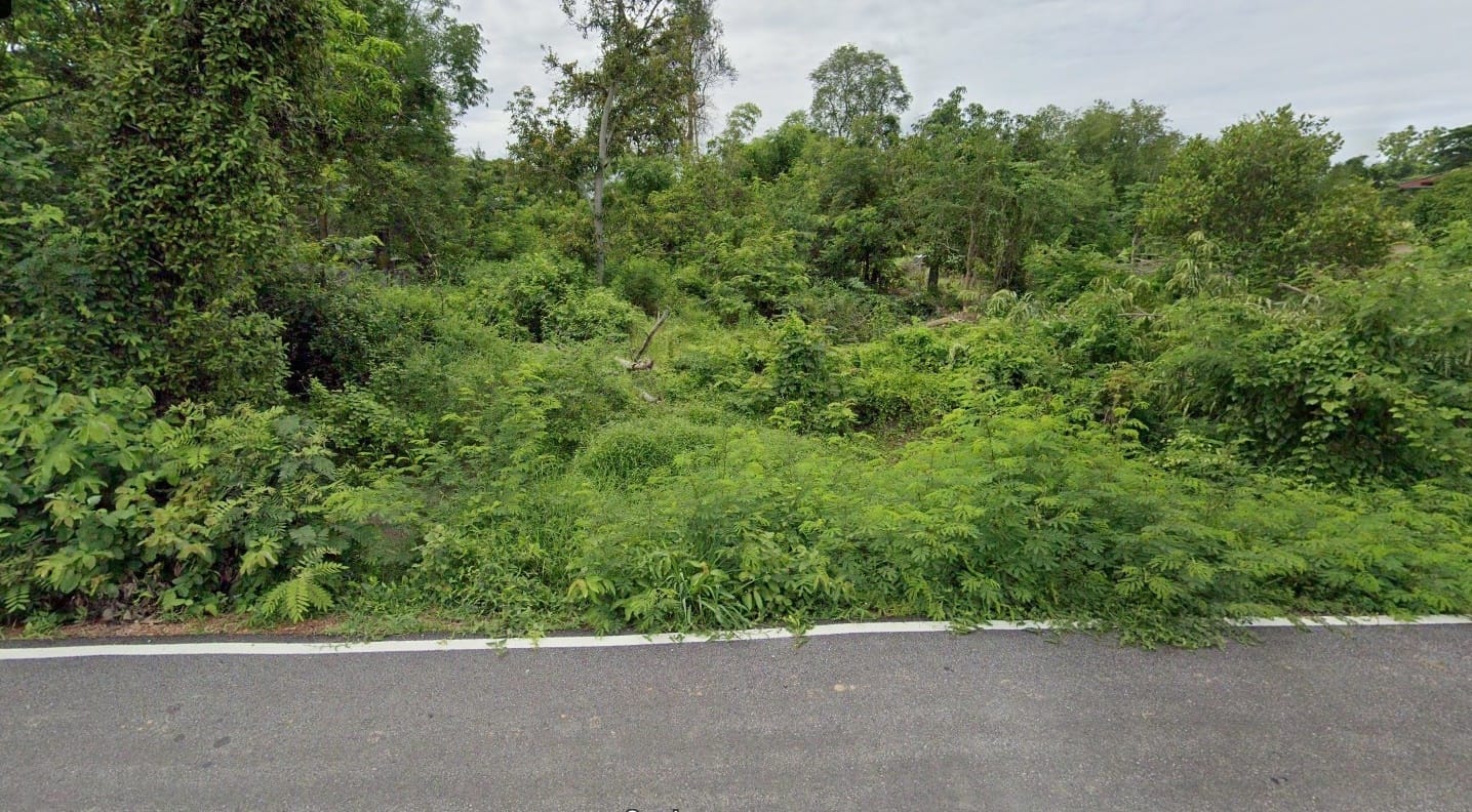 ขายที่ดิน บ้านปากโทก เมืองพิษณุโลก