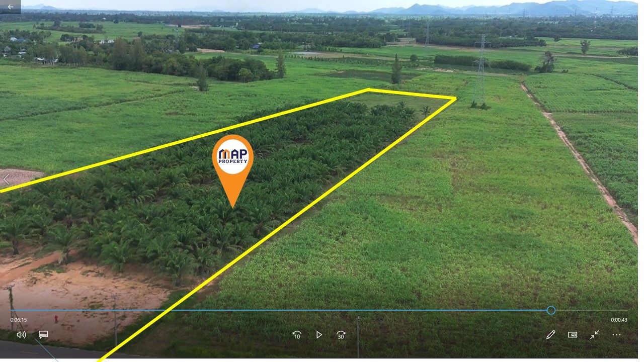 ที่ดิน สวนปาล์ม ทุ่งจับญวณ ชะอำ, เพชรบุรี 17 ไร่