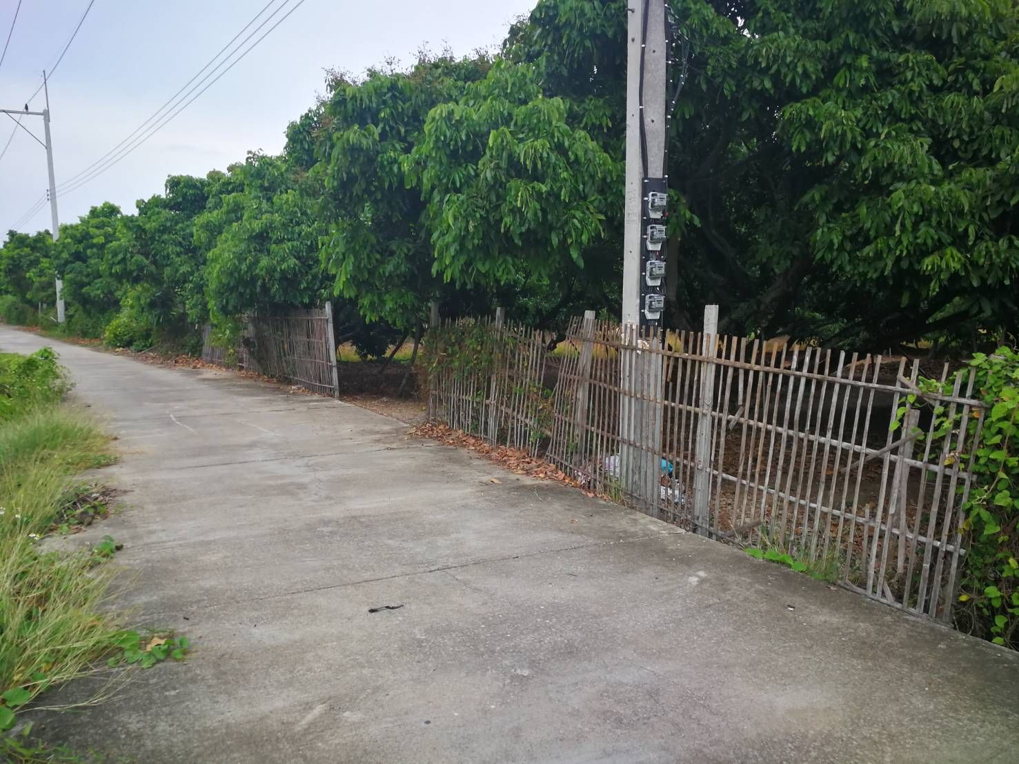 DD#0127 ขายที่สวน ต.หนองตอง อ.หางดง เชียงใหม่ 4ไร่-1งาน-59ตร.วา