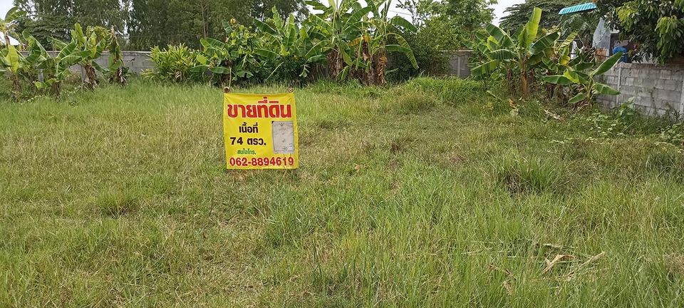 ที่ดินเปล่าทำเลที่อยุ่อาศัย กระนวน ขอนแก่น 74.2