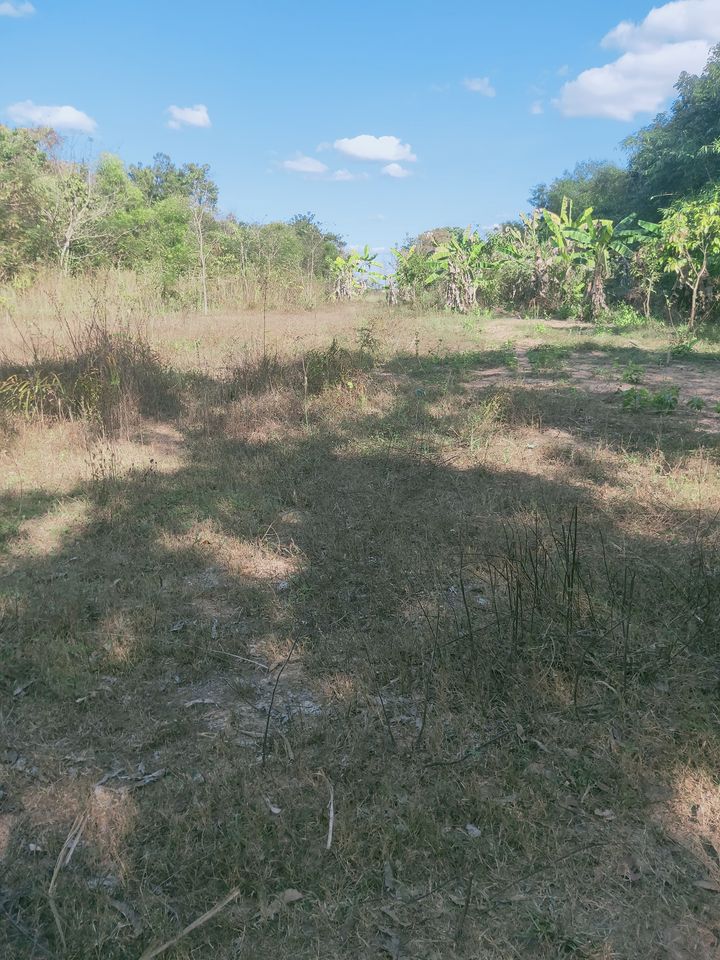 ขายที่ดิน อุดรธานี 4-3-53 ไร่