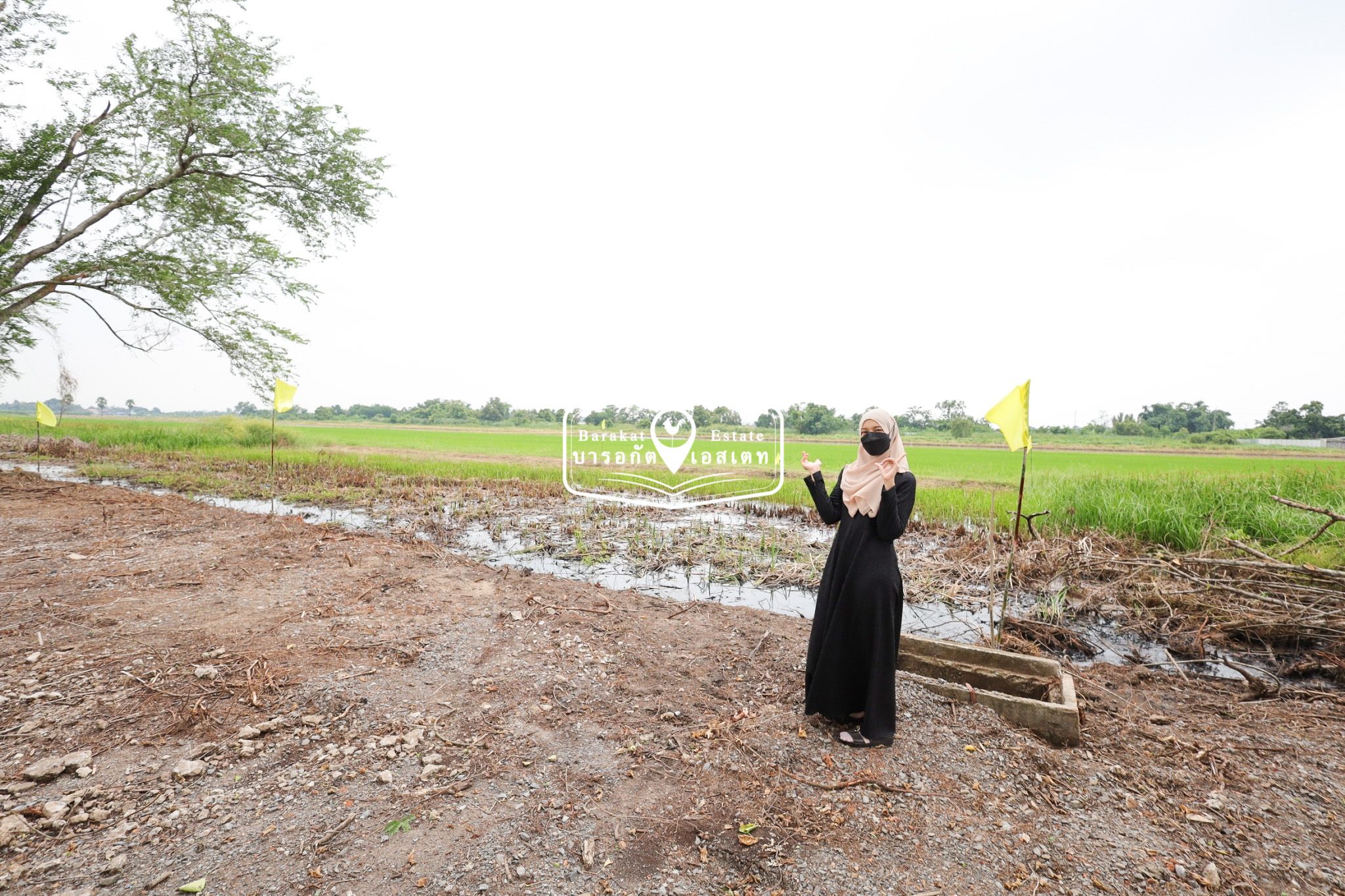 โปรลดราคากับแบบสุดๆ แปลงนี้ต้องการเจ้าของแบบด่วนๆ ขายแบบไม่ต้องการกำไร เคลียริ่งเรียบร้อย