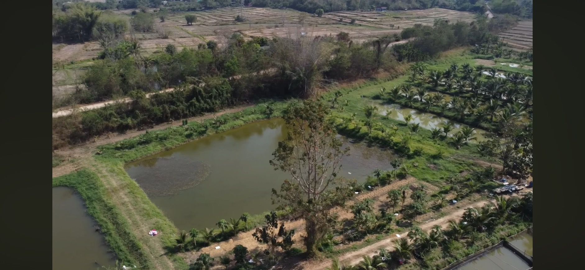 ประกาศเลขที่ 4961750ขายที่ดิน ขายที่ดินลำปาง พร้อมสิ่งปลูกสร้าง สวนผลไม้และบ่อปลา 37 ไร่