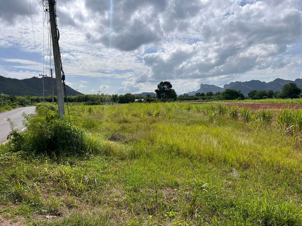 ที่ดินใกล้วัดถ้ำเสือ ท่าม่วง กาญจนบุรี 4 ไร่