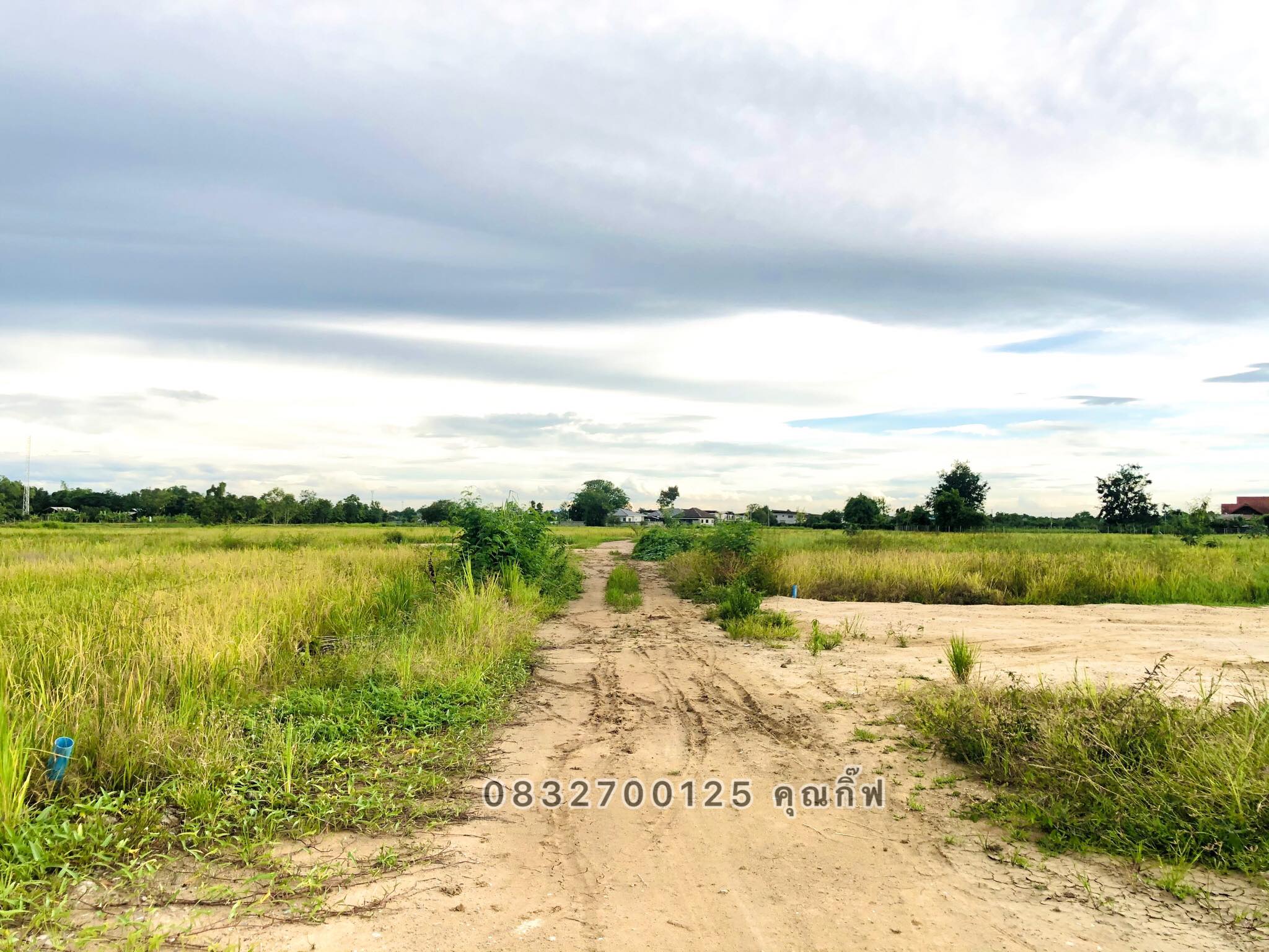 ขายที่ดินเชียงใหม่  เหมาะสำหรับสร้างบ้าน อ.ดอยสะเก็ด จ.เชียงใหม่ 60 ตร.ว.