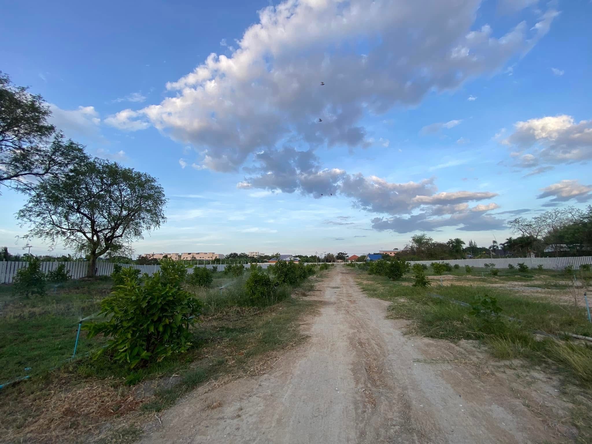 ที่ดินสวยติดแม่น้ำเพชรบุรี เจ้าของขายเอง !!!