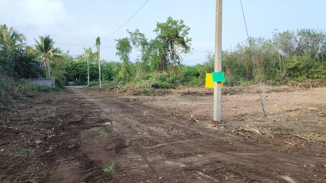 ขายที่ดินอำเภอเมืองลำพูน