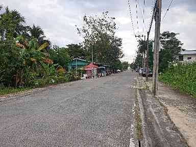 ขายที่ดิน บางใหญ่ นนทบุรี 1-3-31 ไร่