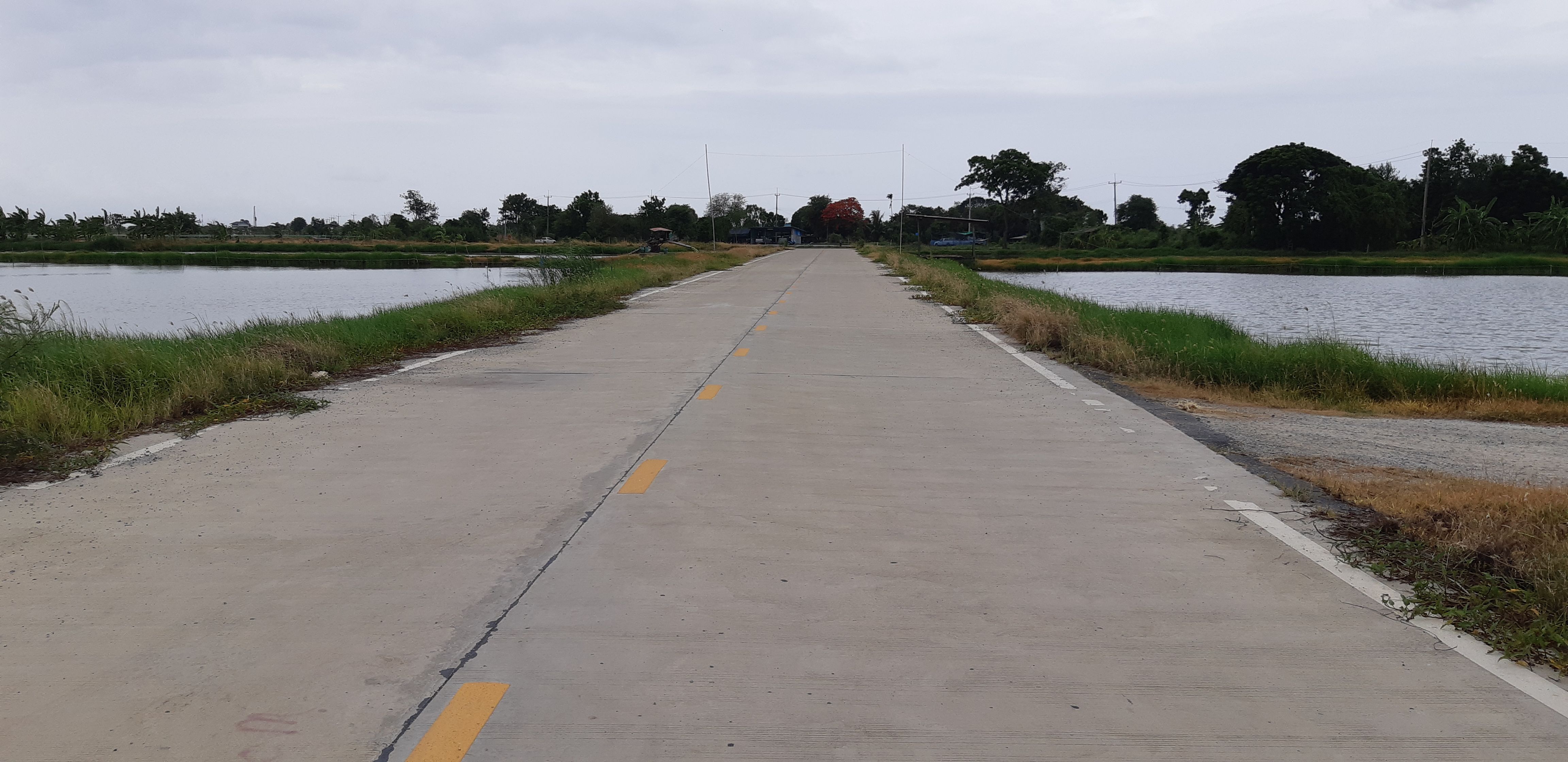 ขายที่ดินใกล้สถาบันการแพทย์จักรีนฤบดินทร์