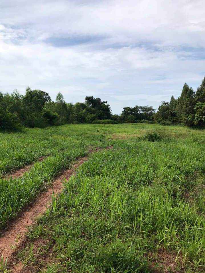 ที่ดินเปล่า อุดรธานี 4 ไร่เศษ