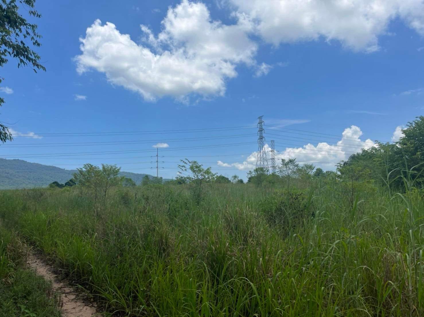 ขายที่ดิน อ. บ้านบึง จ.ชลบุรี 20 ไร่