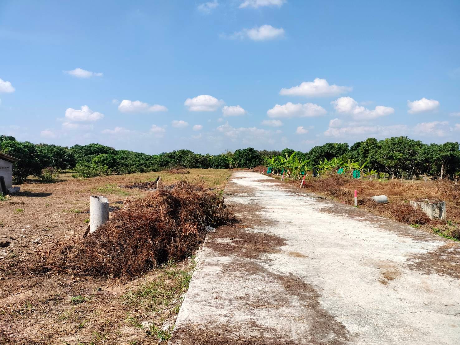 ขายที่ดินพร้อมจัดสรรค์ เหมาะสำหรับสร้างบ้านจัดสรรค์