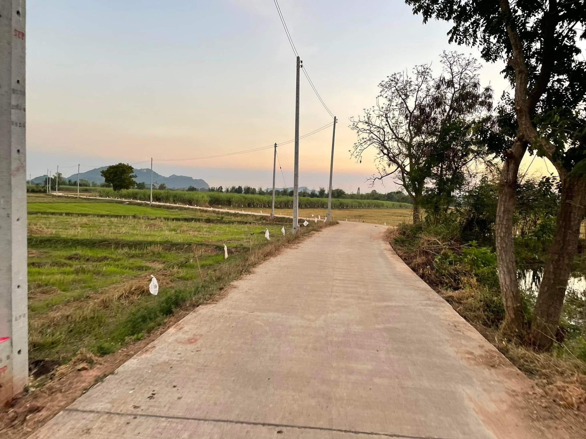 ขายที่นาวิวเขา