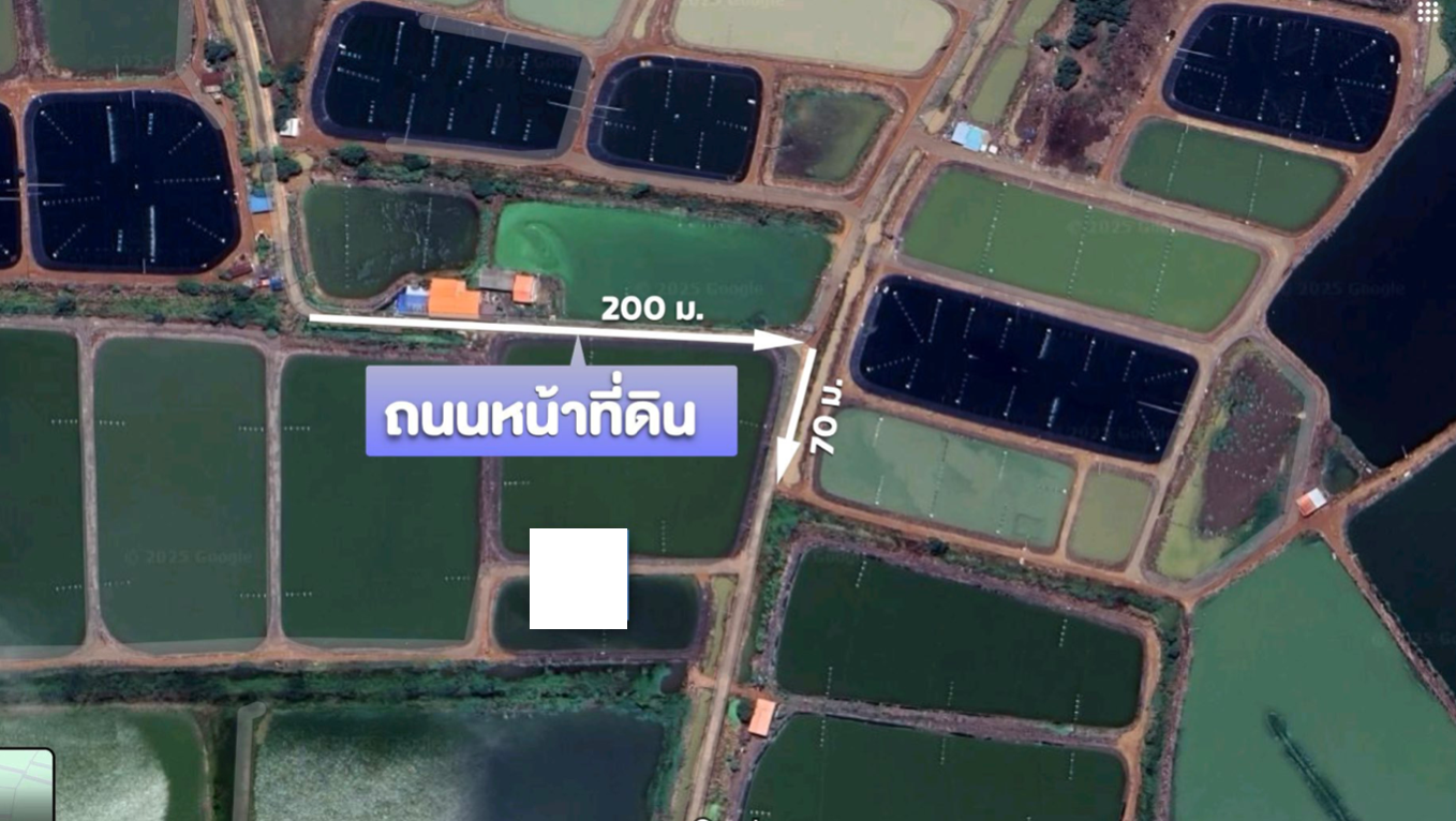 ที่ดินติดแม่น้ำบางปะกง (ท้องมังกร) หน้ากว้างกว่า 1.2 กม. 179 ไร่ หันหน้าทิศตะวันออก อีกด้านติด ถ.สาธารณะ ใกล้กับ กทม.มากที่สุดใน 3 จ. EEC (English is below)