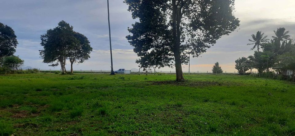 ที่ดินติดชาดหาด หาดสำราญ ตรัง 2-0-87.5 ไร่