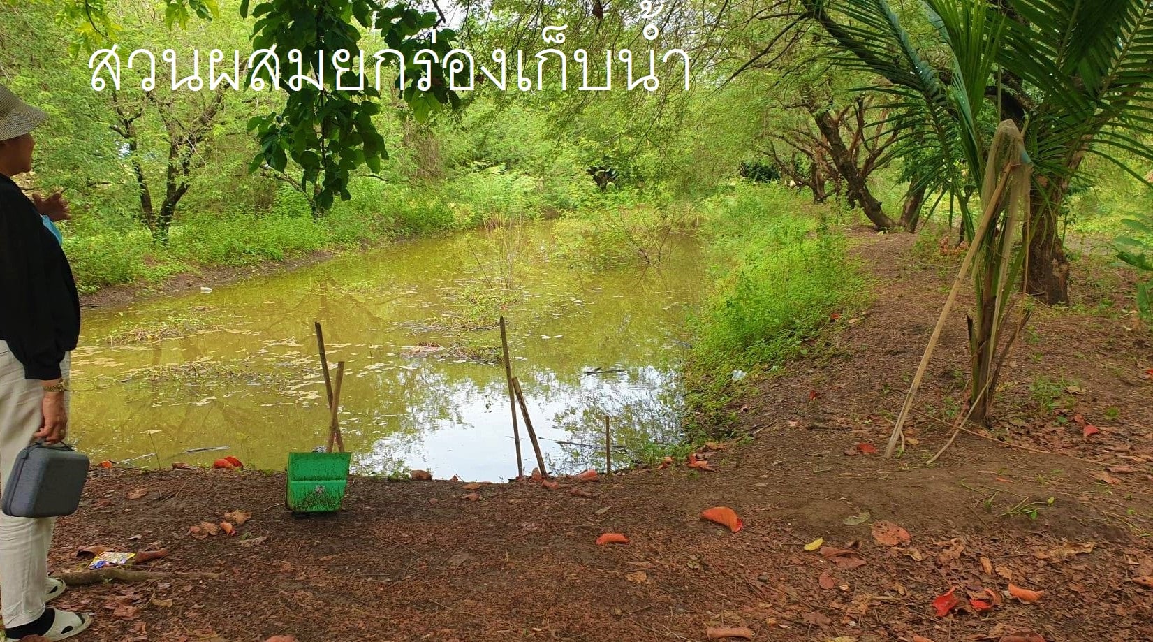 ที่ดินพร้อมสิ่งปลูกสร้าง เพชรบูรณ์ 10-0-92