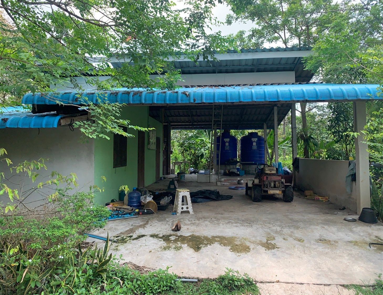 ขายสวนทุเรียนพร้อมบ้าน