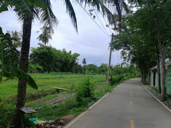 ที่ดิน แบ่งขาย 1-2 ไร่ สมุทรสงคราม