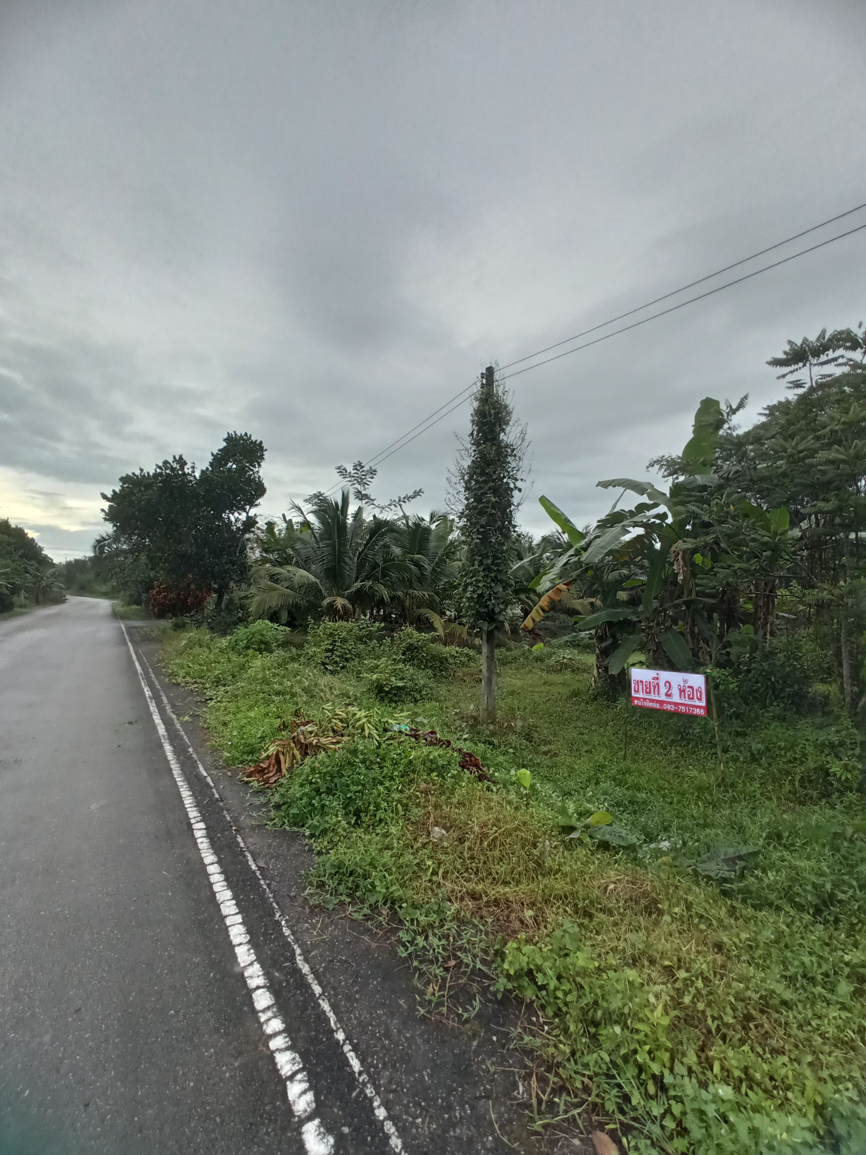 ขายที่ดินตรัง อำเภอเมือง ที่ดินทำเลดี ติดถนน สัญจรคล่อง เหมาะลงทุนมาก 2ห้อง ห้องละ 400k  รวมเนื้อที่มั้งหมด 1งาน58.2ตารางวา.