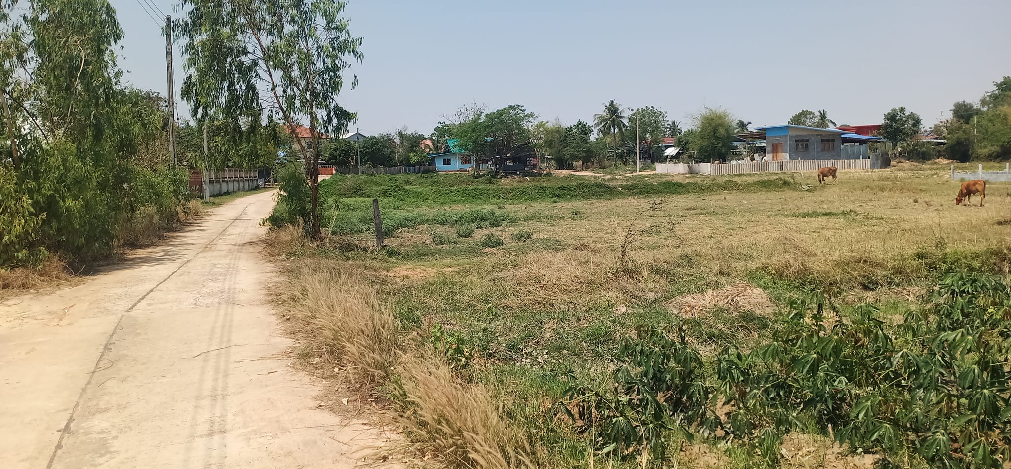 ที่ดินสวยอยู่ในชุมชน ไฟฟ้า ปะปา พร้อม ร้อยเอ็ด 2-0-65.4