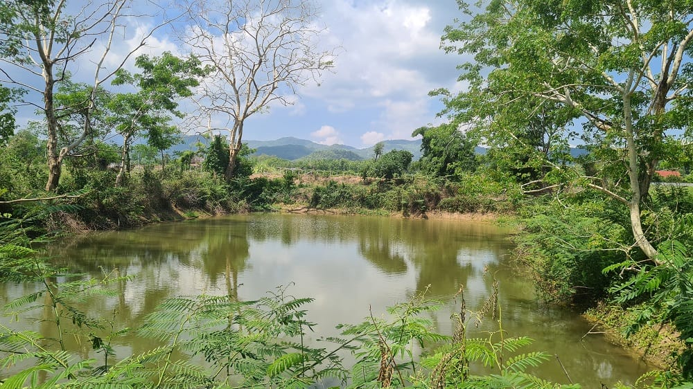 ที่กลางเมือง อำเภอจุน เหมาะทำจัดสรร รีสอร์ท สวยที่สุดในย่าน ขายด่วนๆ
