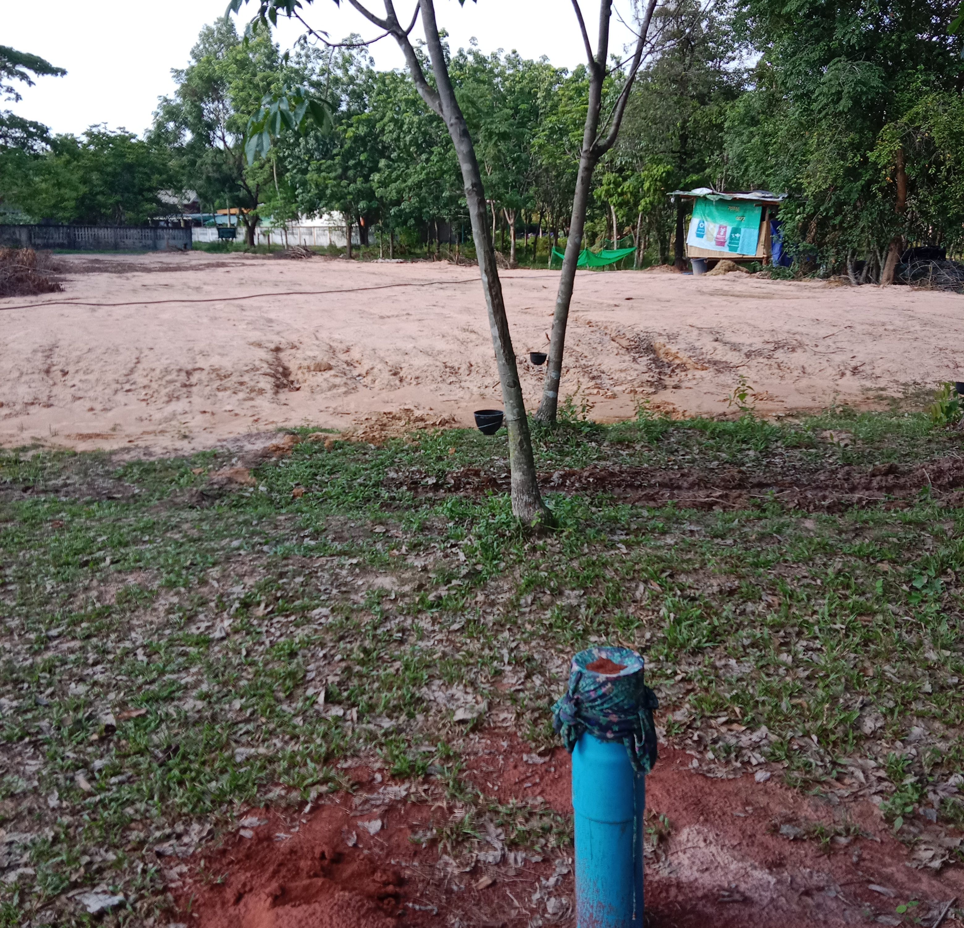 ขายที่ดินส่องดาว สกลนคร