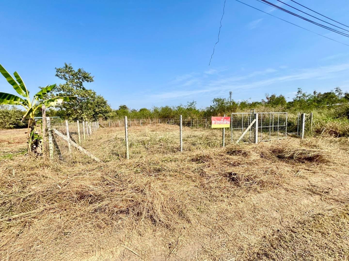 ขายที่ดิน 120 ตรว. ด้านหลังโรงเรียนสันป่าตองวิทยาคม