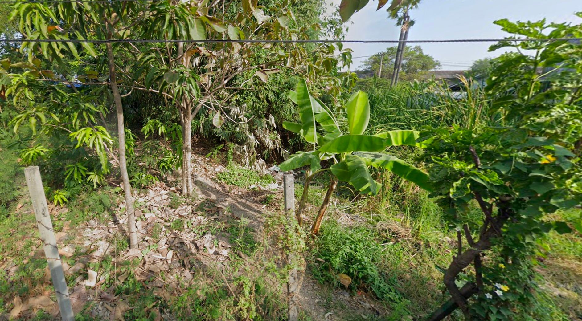 ขายที่ดินเปล่า อ.เมืองปทุมธานี จ.ปทุมธานี 97 ตร.ว.