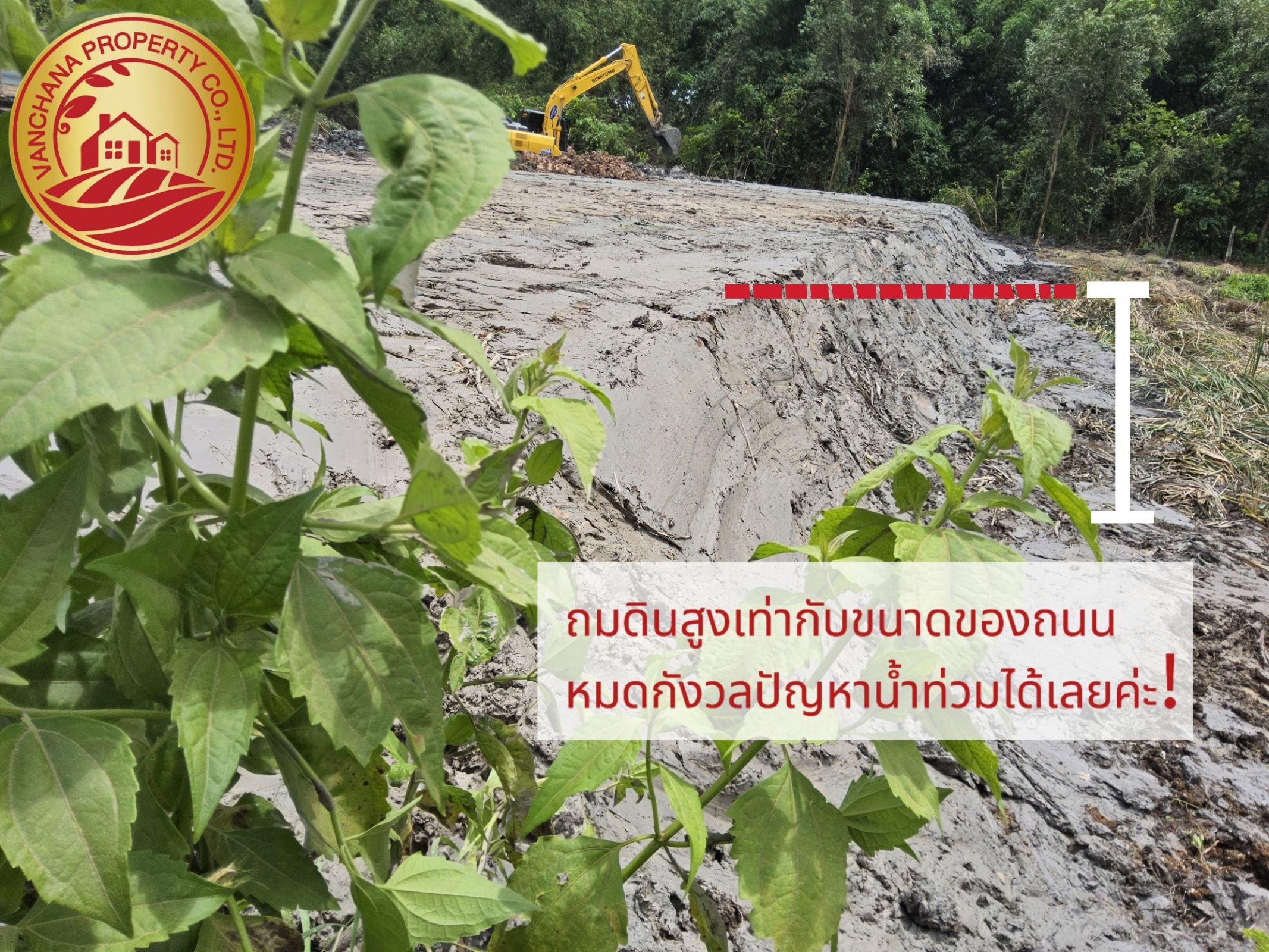 ที่ดินแปลงสวย เนื้อที่ 2ไร่ ถมแล้ว ติดถนนประชาสำราญ 1 เขตหวงห้าม กทม.