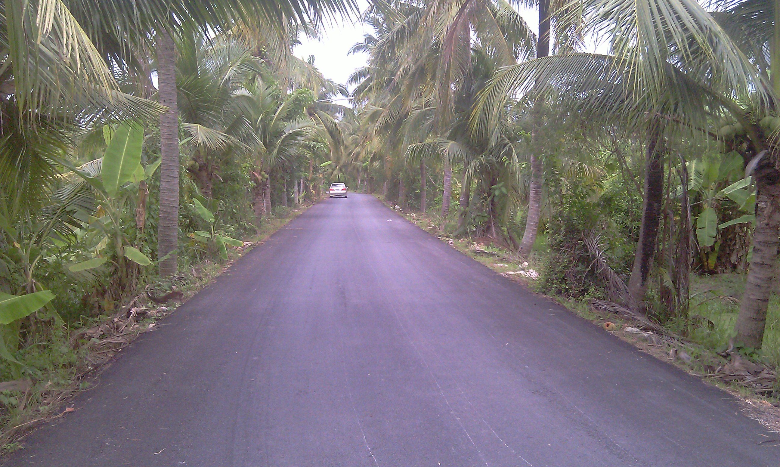 ขายที่ดินบริเวณไร่ขิงใกล้โรงเรียนยุวธัช
