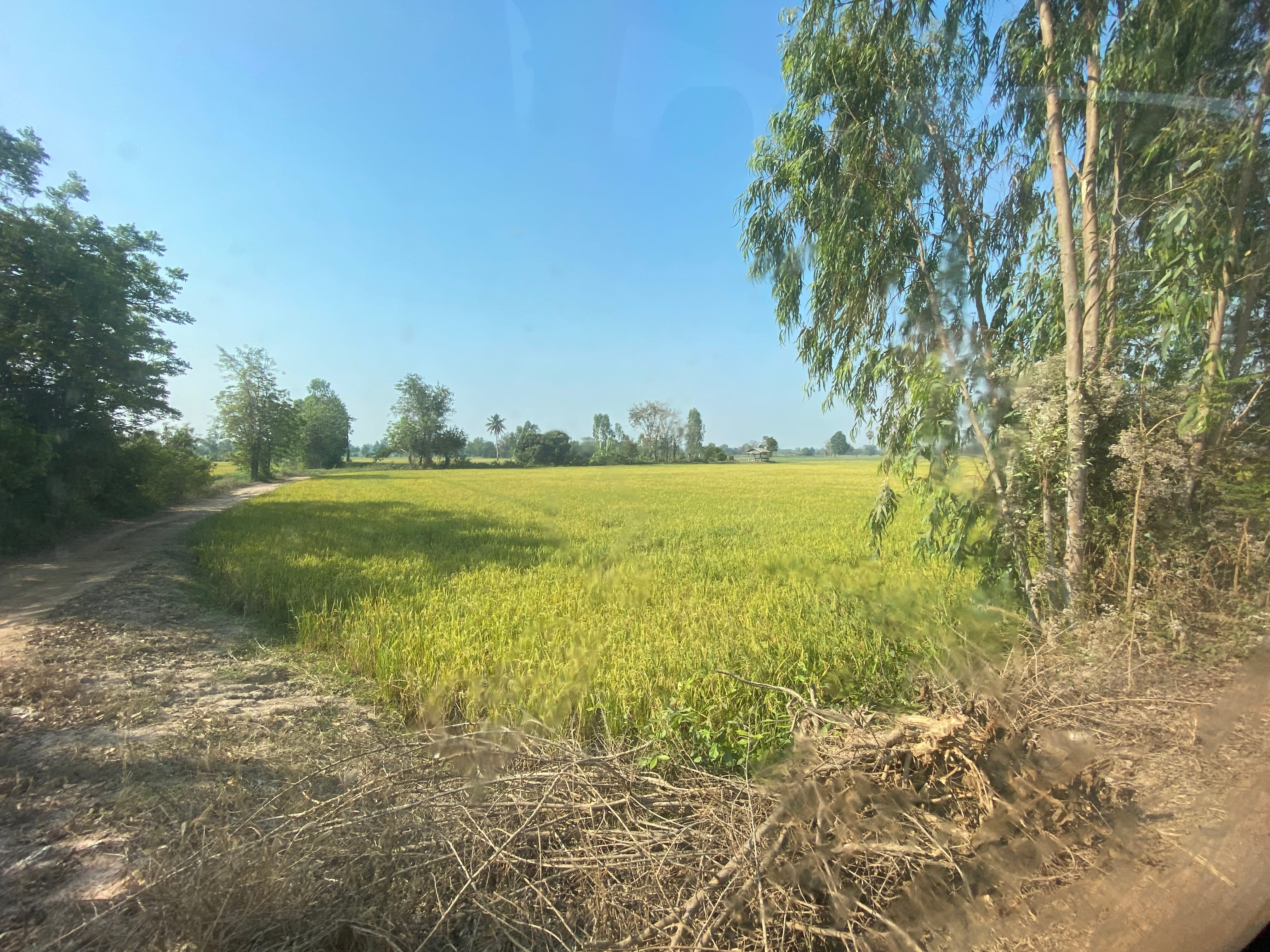 ที่ดินเพื่อการเกษตร