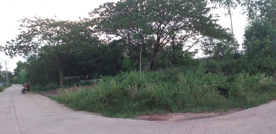 ที่ดินจังหวัดอุดรธานี 5-1-48.1 อ.เมืองอุดรธานี