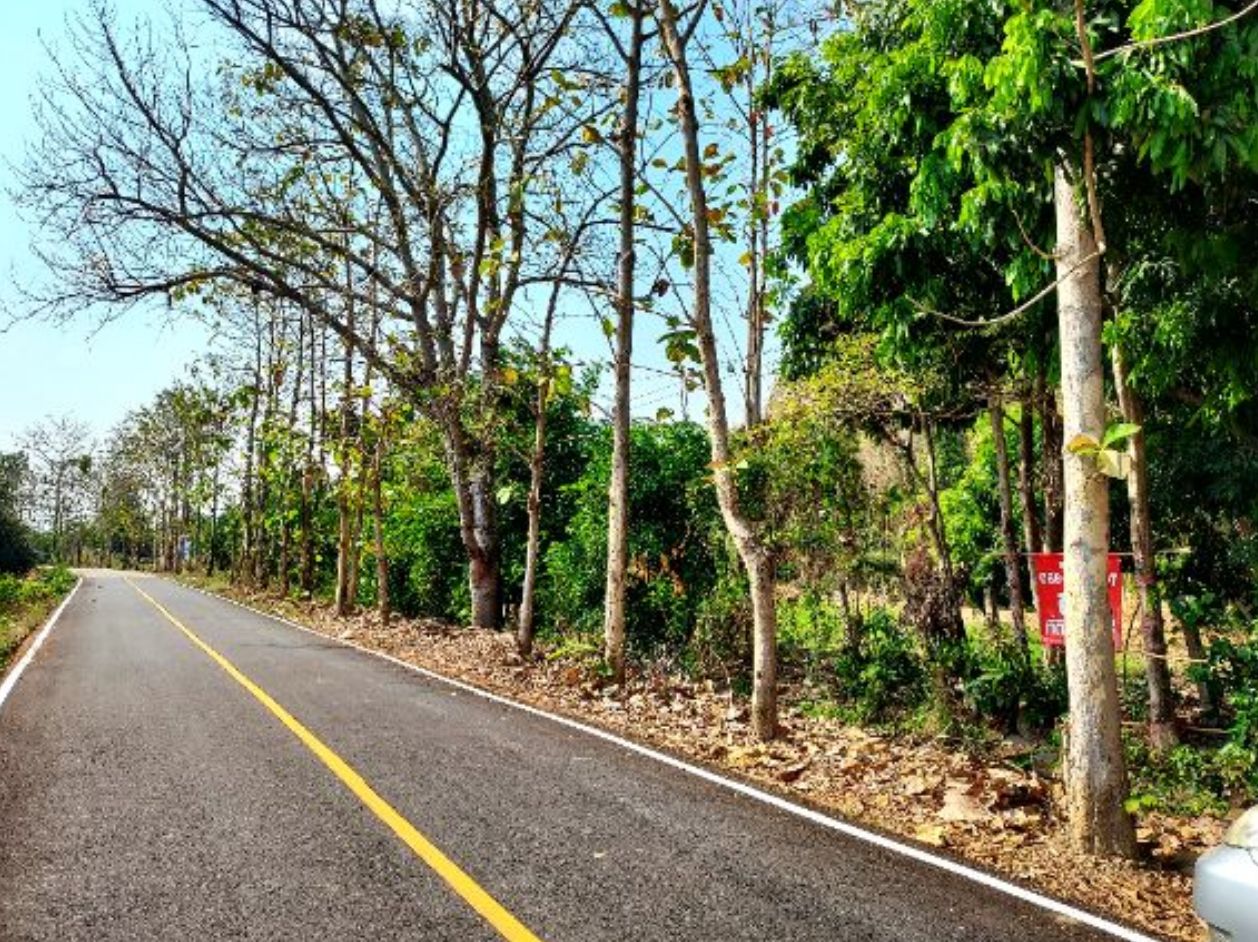 ที่ดินใกล้เมือง อ.สันกำแพง ติดอบต.แช่ช้าง วิวสวย มีถนนคอนกรีตตัดผ่าน